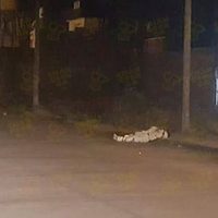 Hallan los cadáveres de dos hombres en panteón de Zamora