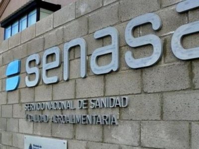 El SENASA habilitó la entrada de asado con hueso a la Patagonia: qué pasará con los precios