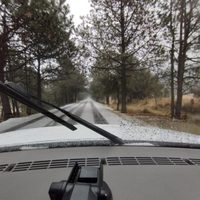 CDMX: Ya comenzó la caída de aguanieve en el Ajusco