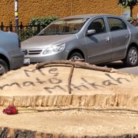 Sheinbaum advierte sanciones a Mítikah ante tala de más de 50 árboles
