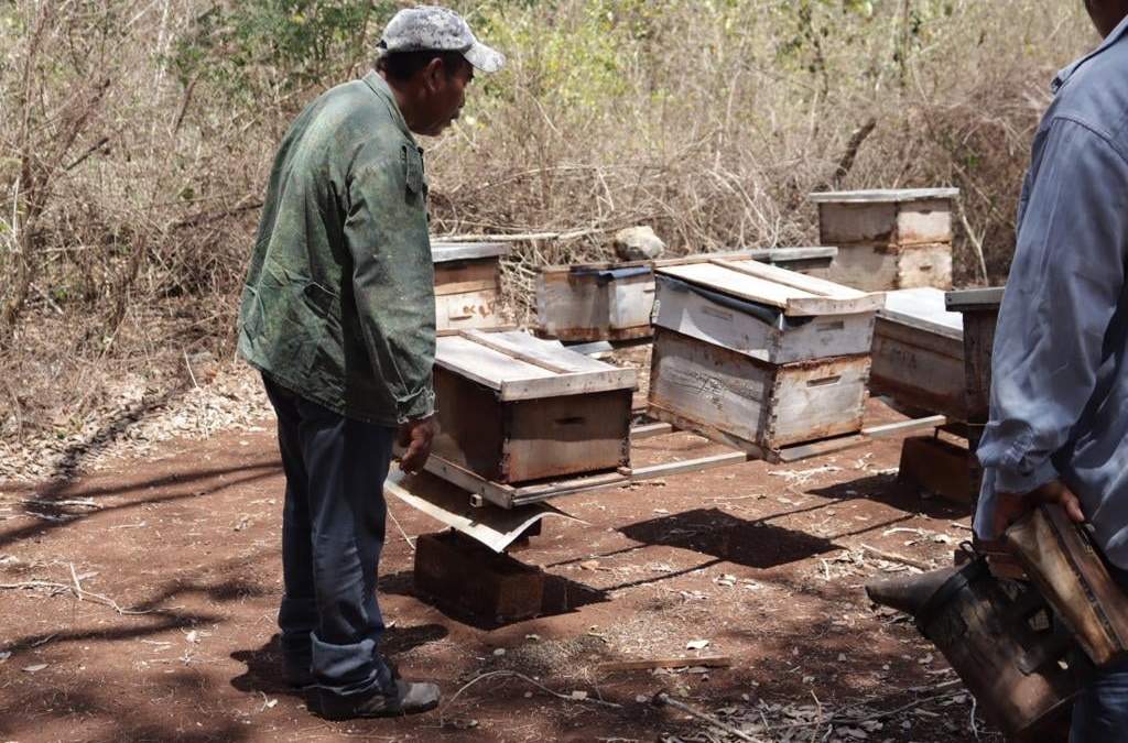 Fumigación con agroquímicos, graves daños