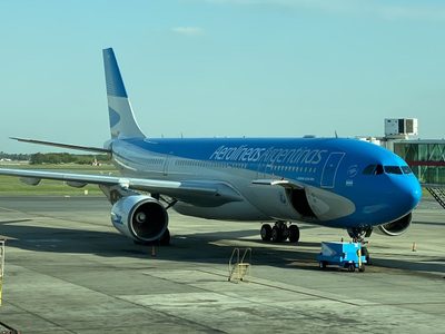 Por su mascota, una pareja de Neuquén no logró la repatriación
