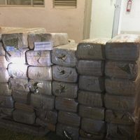 Semar asegura media tonelada de mariguana y cerca de mil 500 litros de combustible en Ensenada