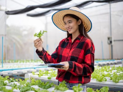 Como un profesional: cómo es la técnica de hidroponia para hacer crecer tus plantas sin tierra