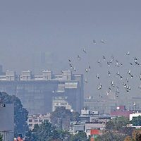 Contaminación y coronavirus, mezcla letal