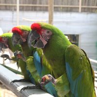 En 365 días, Tamaulipas avanza en salvaguardar recursos naturales y proteger a la flora y fauna