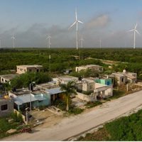 El impacto de los parques eólicos del Yucatán, un ejemplo a no seguir