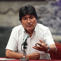De presidente a diputado o senador, el posible futuro de Evo Morales