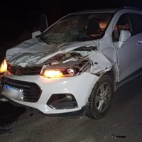 Atropellaron a dos caballos en la ruta 40