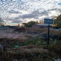 Crianceros de la comarca petrolera, indignados con los vecinos: “Llegan, contaminan y se van”