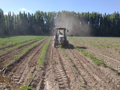 El municipio de Plottier lanzó una nueva capacitación gratuita destinada a tractoristas