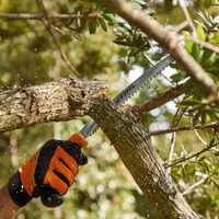 Aprovechá para recoger ramas secas de los árboles: creá esta hermosa decoración para tu pieza inspirada en el otoño