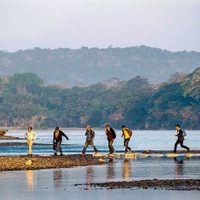 La Lacandona, nuevo territorio narco