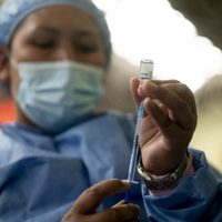 Coronavirus en Argentina: sigue el descenso de muertes y casos