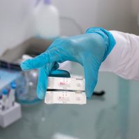 Cofepris alerta sobre prueba para covid-19 que se vende de forma ilegal en México