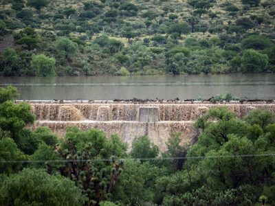 Sequía en México: Conagua reporta almacenamiento en presas a la mitad de su capacidad