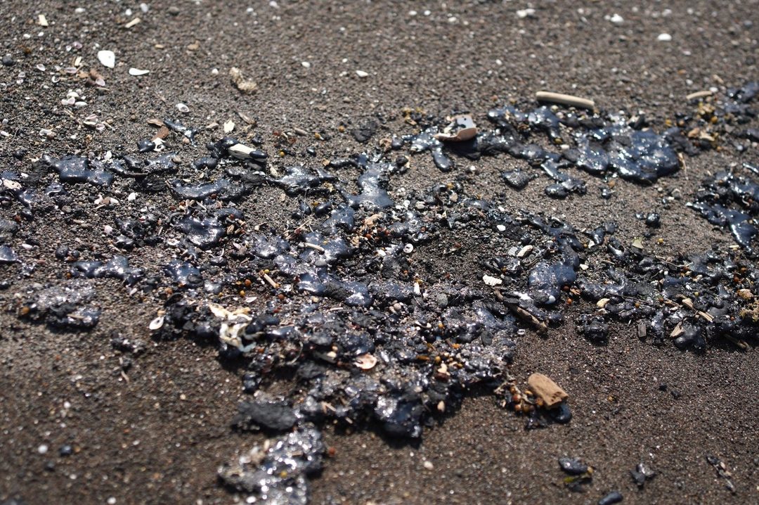 Restos de hidrocarburo en playas de Veracruz. Foto Victoria Razo  Cuartoscuro
