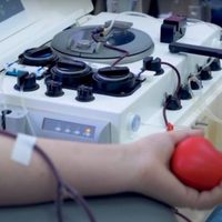 EU autoriza el uso de transfusiones de plasma para tratar a pacientes de covid-19