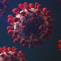 Esto reveló el primer estudio que infectó deliberadamente de coronavirus a los voluntarios
