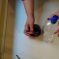 Con sifones de soda vacíos, hacé estos 2 preciosos adornos para colocar dentro de casa o en el jardín