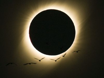 Eclipse solar en Neuquén: descubrí todas las localidades y horarios para verlo