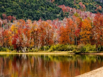 Descubrí el plan ideal en Neuquén: termas, caminatas y buena comida en otoño