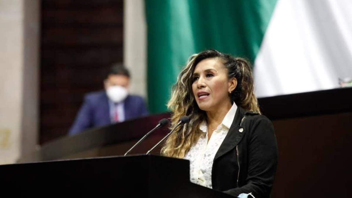 La diputada federal, Araceli Ocampo Manzanares