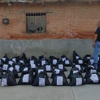 Camioneta cargada con 25 mil huevos de tortuga es asegurada en el Istmo de Tehuantepec