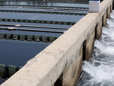 La CDMX padecerá una “sequía muy severa” de agua potable estos tres meses
