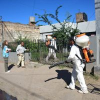 Aumenta la cifra de enfermos por dengue en Oaxaca, hay más de mil