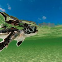 'Grandes estaciones” se estrena en Animal Planet