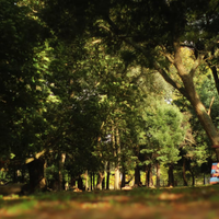 A solo 2 horas de CABA, escapate este finde al lugar de Buenos Aires que es perfecto para conocer en otoño