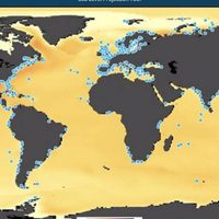 Averigua con la NASA cuánto subirá el mar en tu lugar de residencia