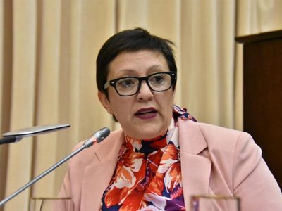 Ferrocarril Trasandino: la diputada Soledad Martínez aseguró que está en la agenda de Nación