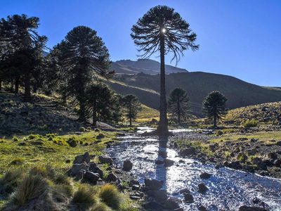 El ministro Badilla se reunió con lonko mapuche de Ruca Choroi y evaluaron proyectos turísticos