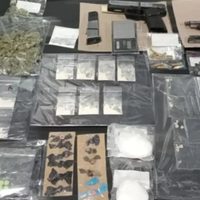 "Mamás en Acción": la red vecinal que enfrenta al narcotráfico en La Angostura