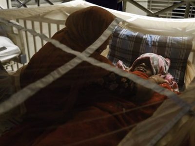 La OMS advierte que la incidencia del dengue ha aumentado "notablemente" en 20 años