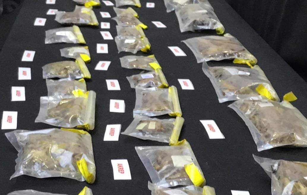 En esta fotografía difundida por las autoridades turcas, muestras confiscadas de arañas y escorpiones son exhibidas en el Aeropuerto de Estambul, Turquía