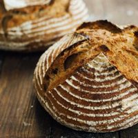 Masa madre: tradicional forma de fermentación sustentable