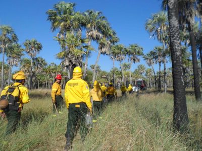 Habilitaron la preinscripción para el Curso Básico para Combatientes de Incendios Forestales