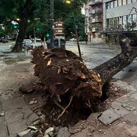El impactante saldo que dejó el temporal en Buenos Aires