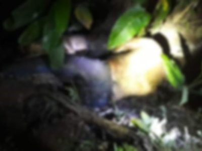 En menos de dos semanas hallan siete cadáveres tabasqueños en pueblos de Chiapas