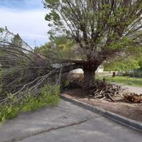 Gran operativo municipal en la provincia por la alerta de fuertes vientos