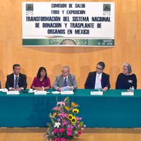 Enfermedad renal crónica, quinta causa de muerte en México; 12 mil decesos anuales