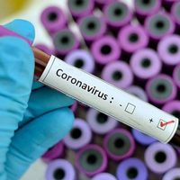¡Confirmados! 3 nuevos casos de coronavirus en Neuquén y 6 sospechosos