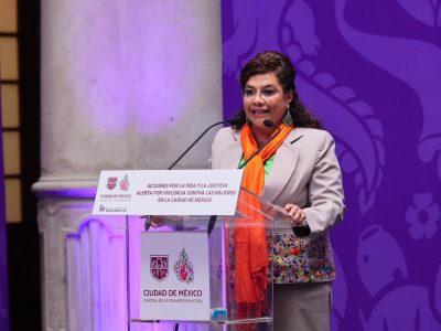 ONG expresan “profunda preocupación” por la Alerta por Violencia de Género de Brugada