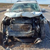 Accidente en Vaca Muerta: una camioneta chocó un ternero que estaba suelto en la ruta