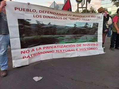 La crisis del Parque Nacional Los Dinamos: invasión inmobiliaria, tala clandestina, caza ilegal... y