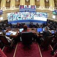 Sesiones virtuales: cuáles son las medidas que aprobará el Senado la semana que viene