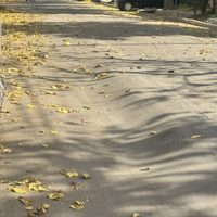 Godoy Cruz: se volvió a hundir una calle que había sido reparada